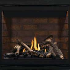ALTITUDEᴹᴰ 42 Direct Vent Gas Fireplace | A42NTE