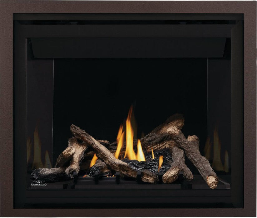ALTITUDEᴹᴰ 42 Direct Vent Gas Fireplace | A42NTE