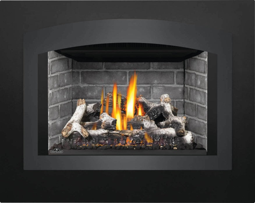 OAKVILLEᴹᴰ X4 Built-In Gas Fireplace | GDIX4N