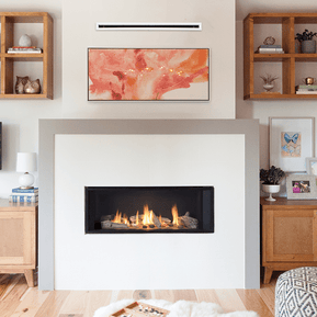 L1 Linear Series