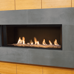 L1 Linear Series