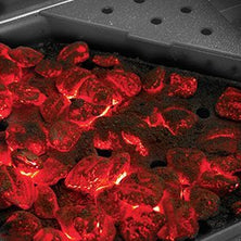 Rogue® SE 425 Gas Grill